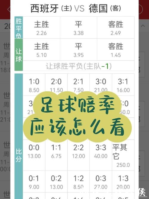 世界杯投注软件推荐：帮助精确计算赔率